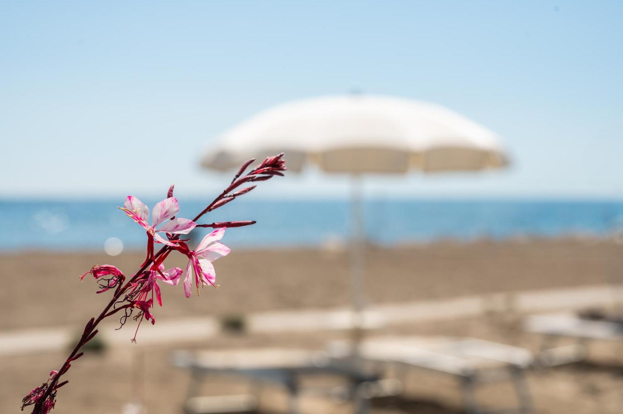 Terme Beach Resort Punta Marina Exterior photo